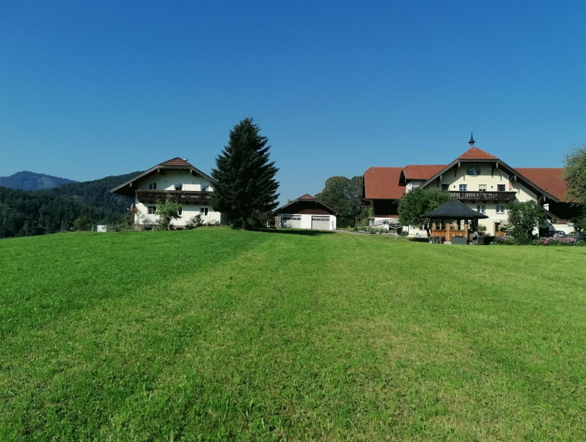 Vordergschwandtgut Daire Faistenau Dış mekan fotoğraf